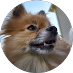 Profile photo of M M