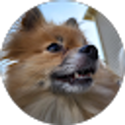 Profile photo of M M