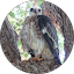 Profile photo of westin clyden