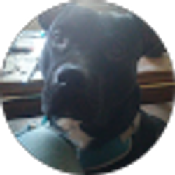 Profile photo of Dalas Brown