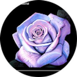 Profile photo of Ma Mar