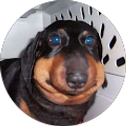 Profile photo of Dargus