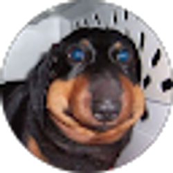 Profile photo of Dargus