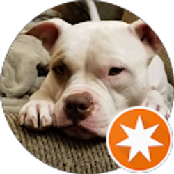 Profile photo of Mike H