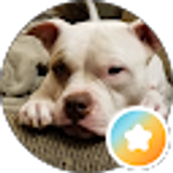 Profile photo of Mike H