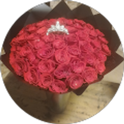 Profile photo of Denira Villegas