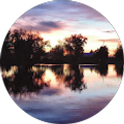 Profile photo of Antonio Armijos