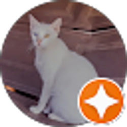 Profile photo of Brenda Fox