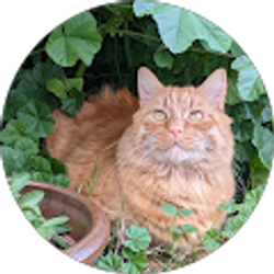 Profile photo of Katie Jane