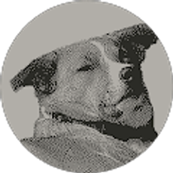 Profile photo of alec troemel