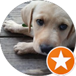 Profile photo of Jen Ish