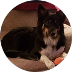 Profile photo of Sally Horner