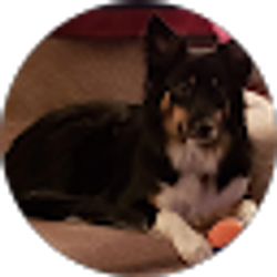 Profile photo of Sally Horner