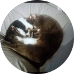 Profile photo of mely mel