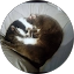 Profile photo of mely mel