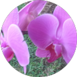 Profile photo of Amparo Demoreta