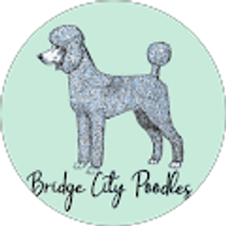 Profile photo of Bridge City Poodles