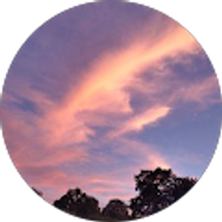 Profile photo of Shane Drake