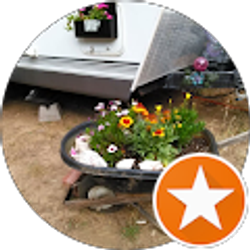 Profile photo of Terri Berdechowski