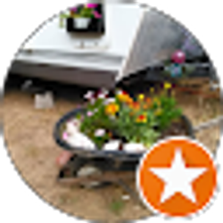 Profile photo of Terri Berdechowski