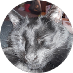 Profile photo of Sharon Parsley