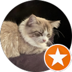 Profile photo of Christy Smith