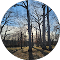 Profile photo of Lisha Sanders