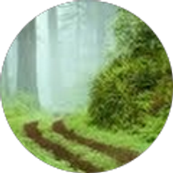 Profile photo of Carole Olimb