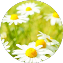 Profile photo of Karen Lynn