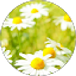 Profile photo of Karen Lynn