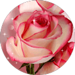 Profile photo of Sandy Peterson