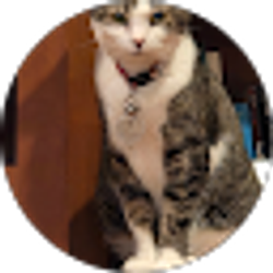Profile photo of Bill Abitz