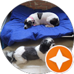 Profile photo of BJ “BJBoricua” Boricua