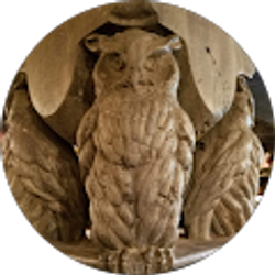 Profile photo of Dylana Nakata