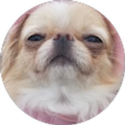 Profile photo of Jim Merrill