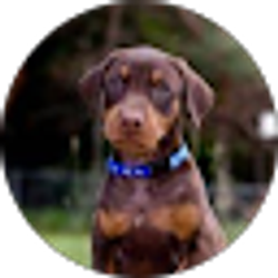 Profile photo of Betsy Preece