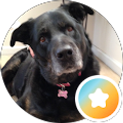 Profile photo of Stacey Winkler