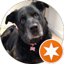 Profile photo of Stacey Winkler