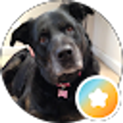Profile photo of Stacey Winkler