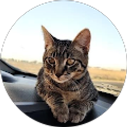 Profile photo of Vanisha Soto