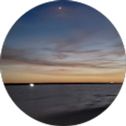 Profile photo of Amy H