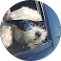 Profile photo of LeRoy Casali