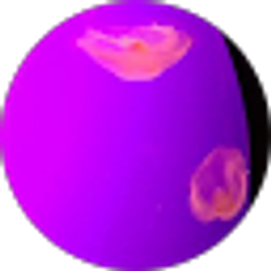 Profile photo of Kattie Belle