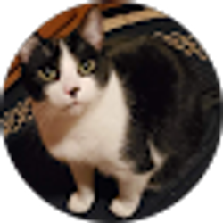 Profile photo of Brendan Boyer