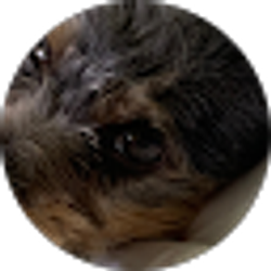 Profile photo of Cindy Peters