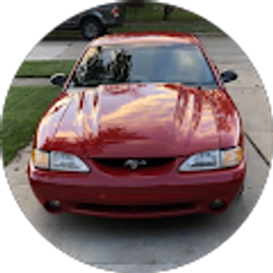 Profile photo of K McManus