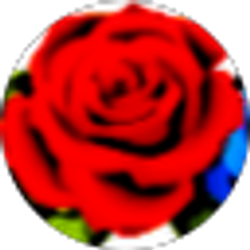 Profile photo of Rose M Perry