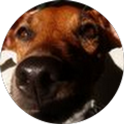 Profile photo of PR II