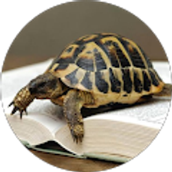 Profile photo of Stephanie Chapman