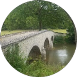 Profile photo of driftwoodfloating